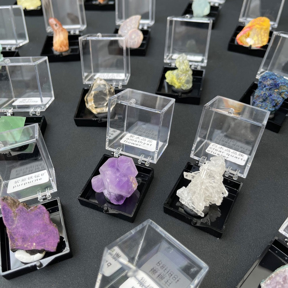 Micro Mineral Box Raw Crystal Gemstone Collection Box