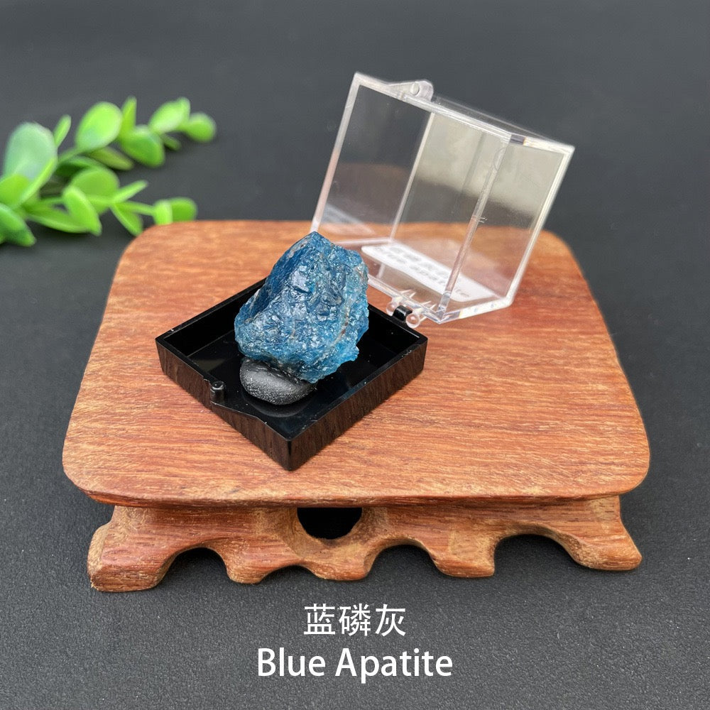 Micro Mineral Box Raw Crystal Gemstone Collection Box