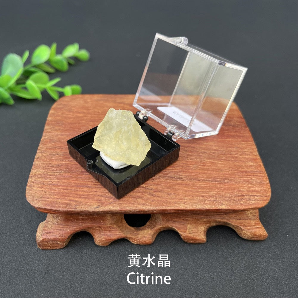 Micro Mineral Box Raw Crystal Gemstone Collection Box