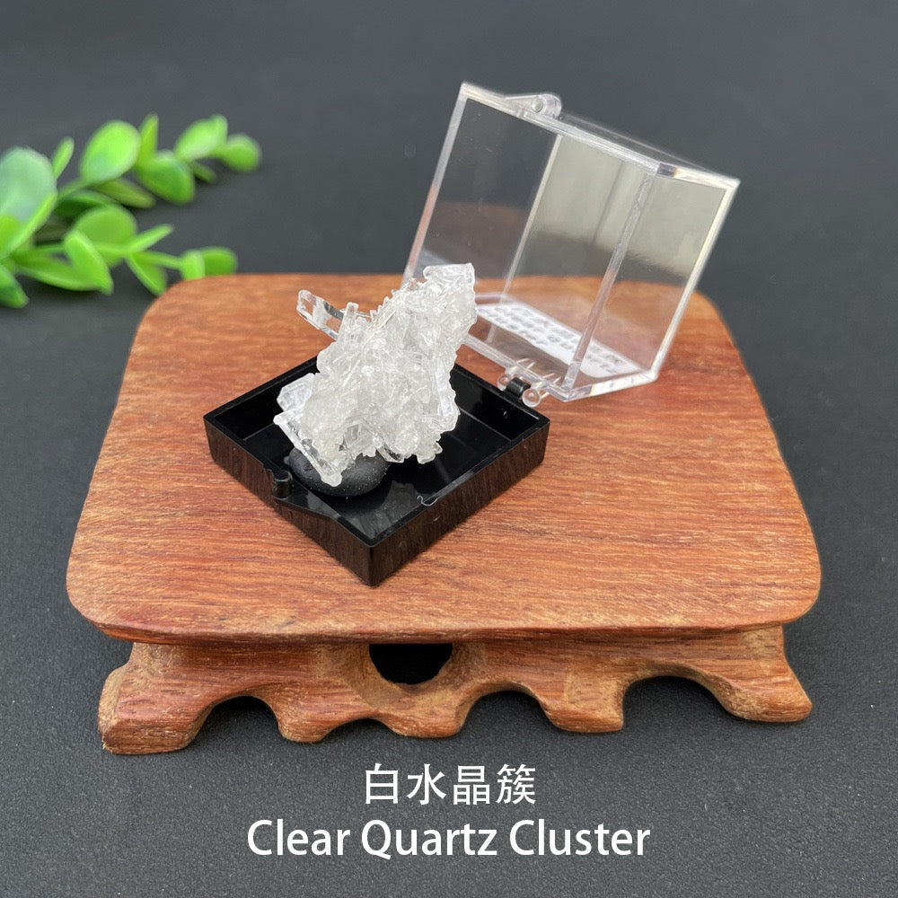 Micro Mineral Box Raw Crystal Gemstone Collection Box