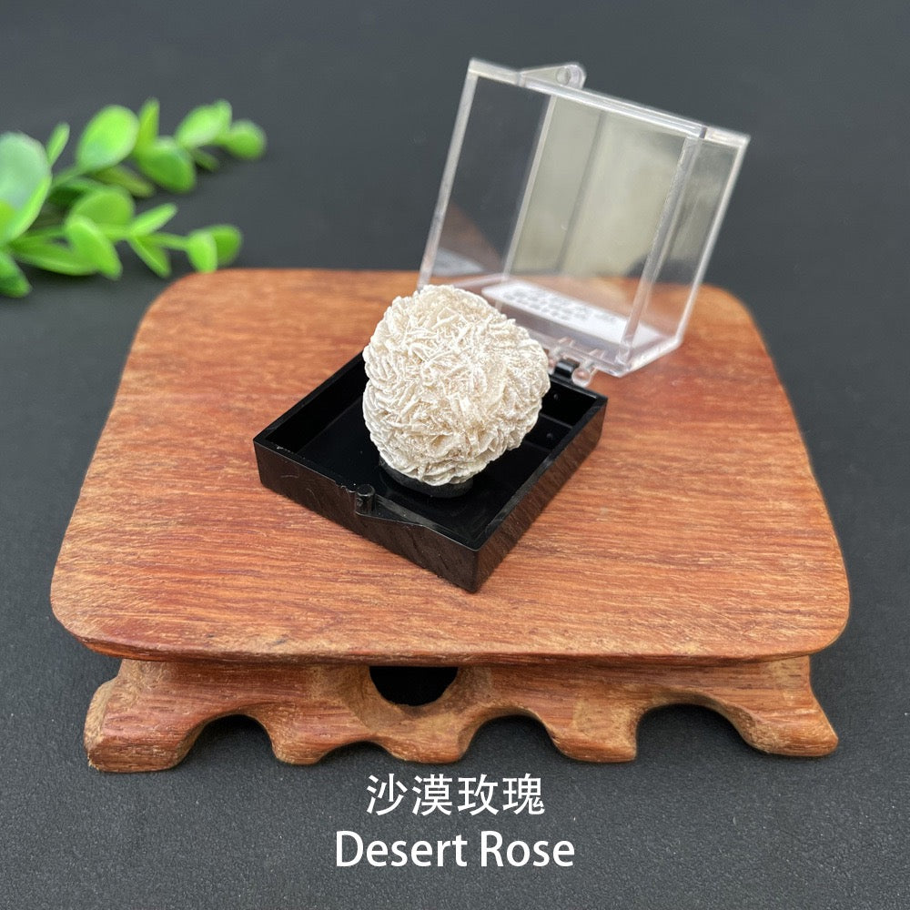 Micro Mineral Box Raw Crystal Gemstone Collection Box
