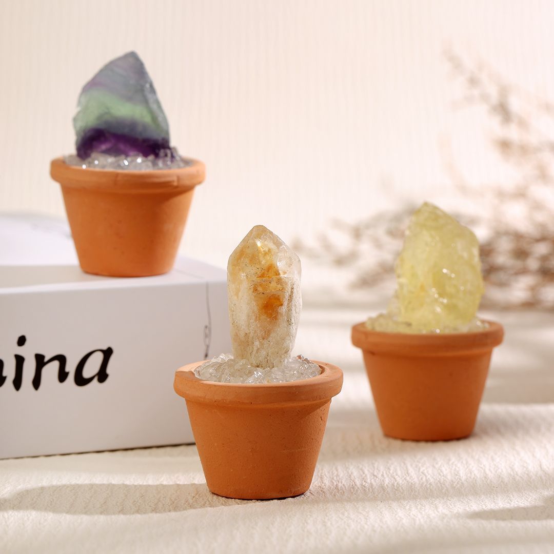 Micro Mineral Raw Crystal Gemstone Collection