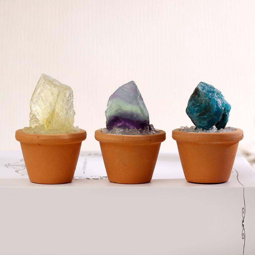 Micro Mineral Raw Crystal Gemstone Collection