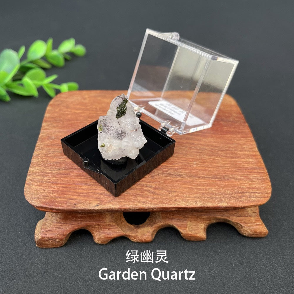 Micro Mineral Box Raw Crystal Gemstone Collection Box