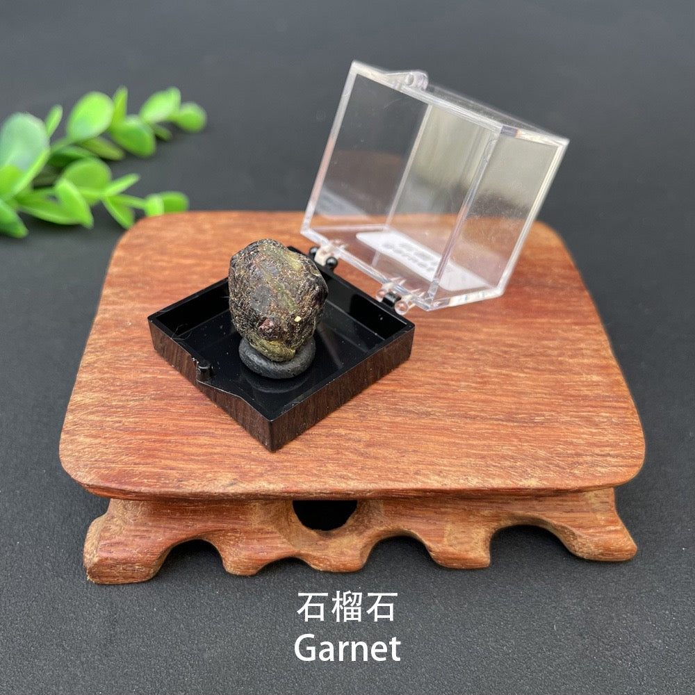 Micro Mineral Box Raw Crystal Gemstone Collection Box
