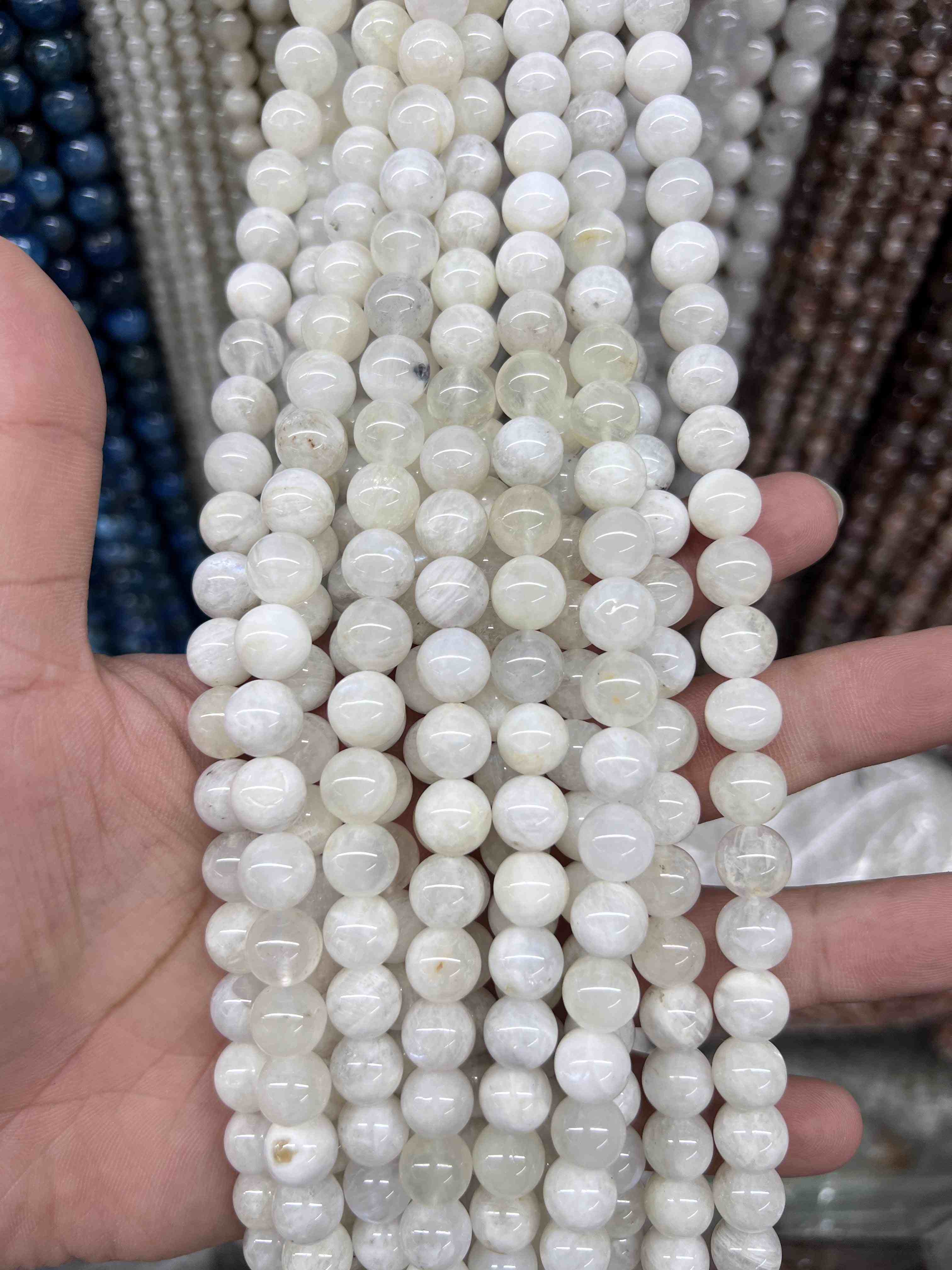 VIP 8mm #2 Free Shipping