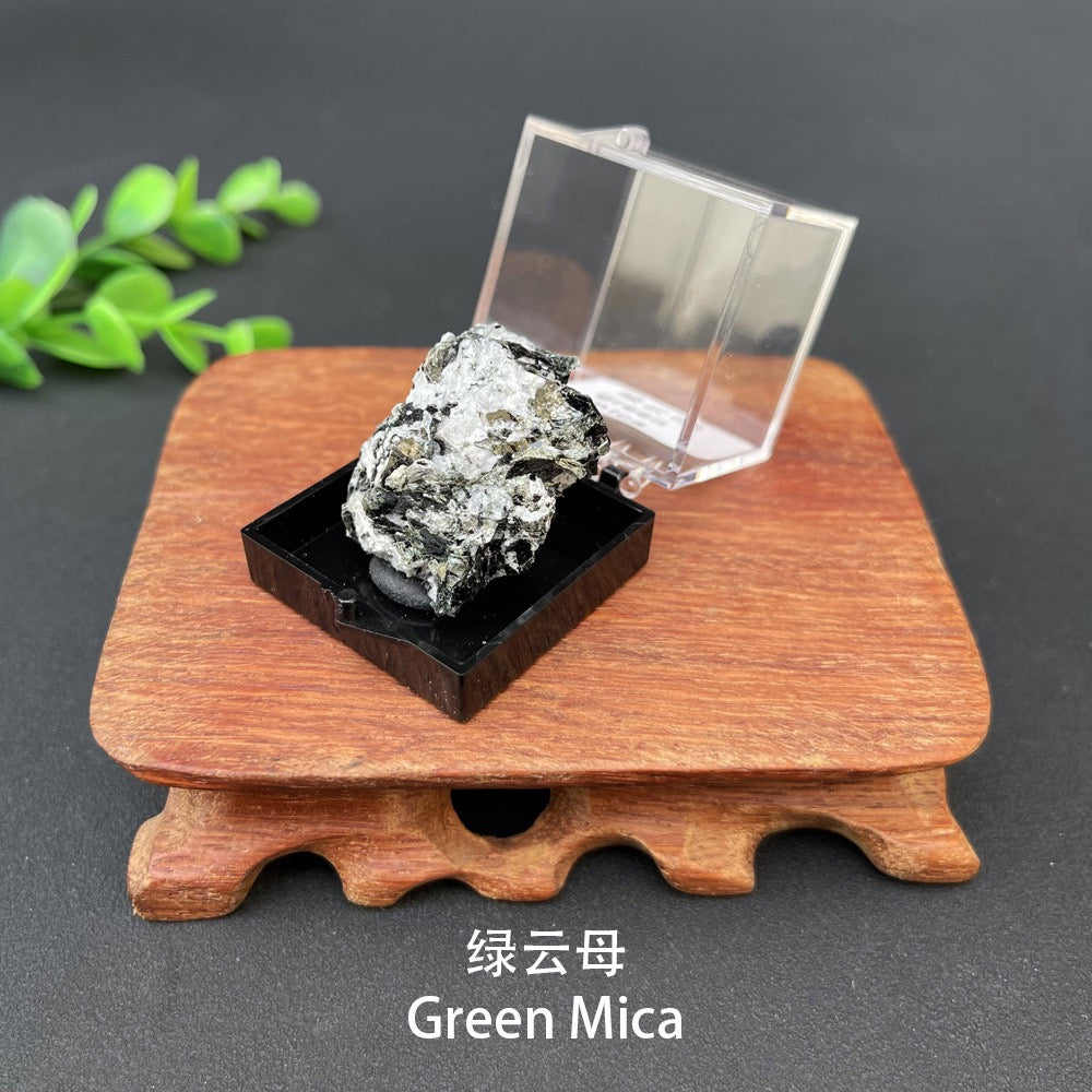 Micro Mineral Box Raw Crystal Gemstone Collection Box