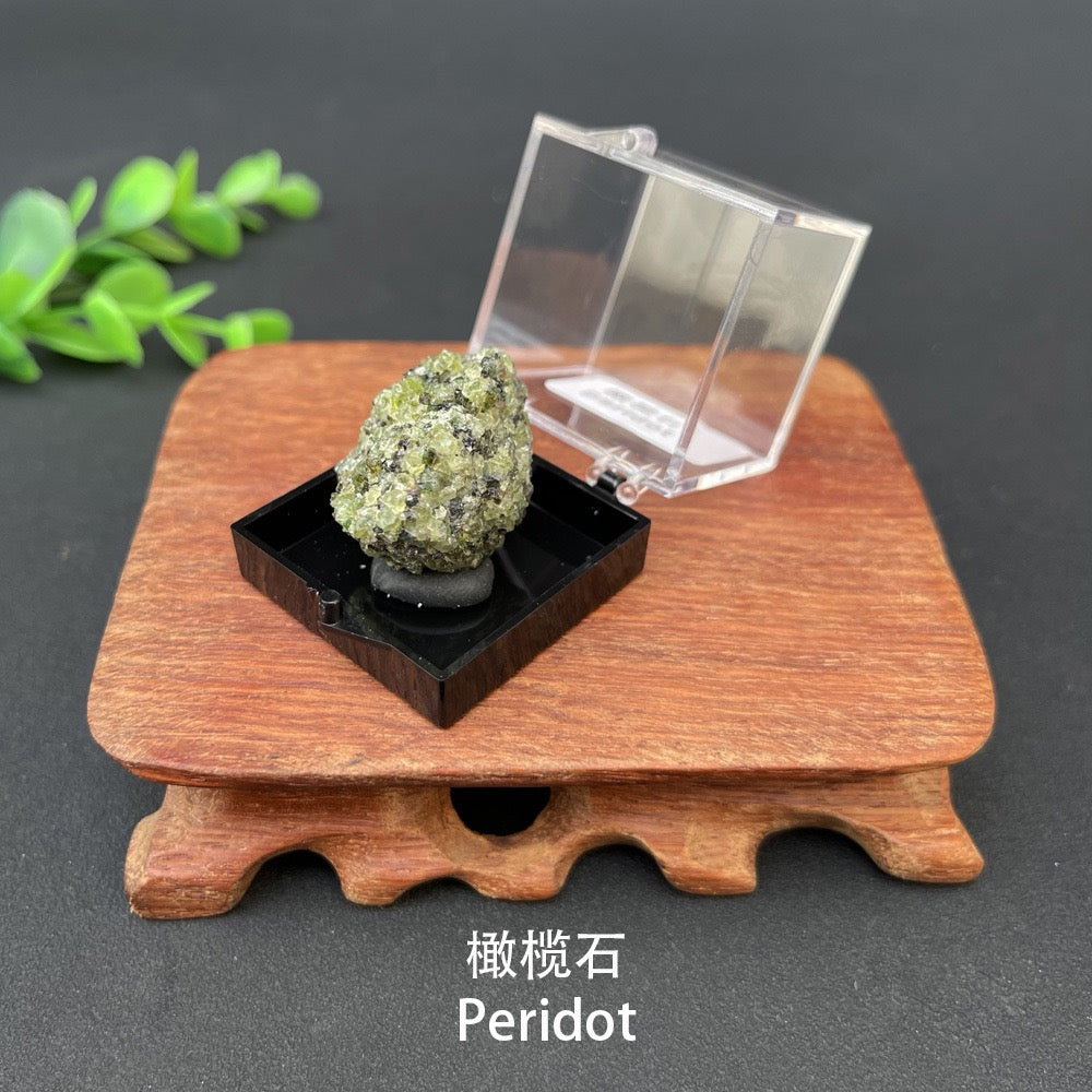 Micro Mineral Box Raw Crystal Gemstone Collection Box