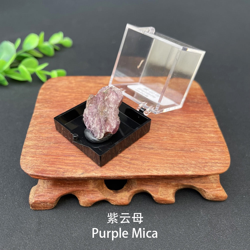 Micro Mineral Box Raw Crystal Gemstone Collection Box