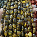 Oval Shape Tigers Eye Beads
