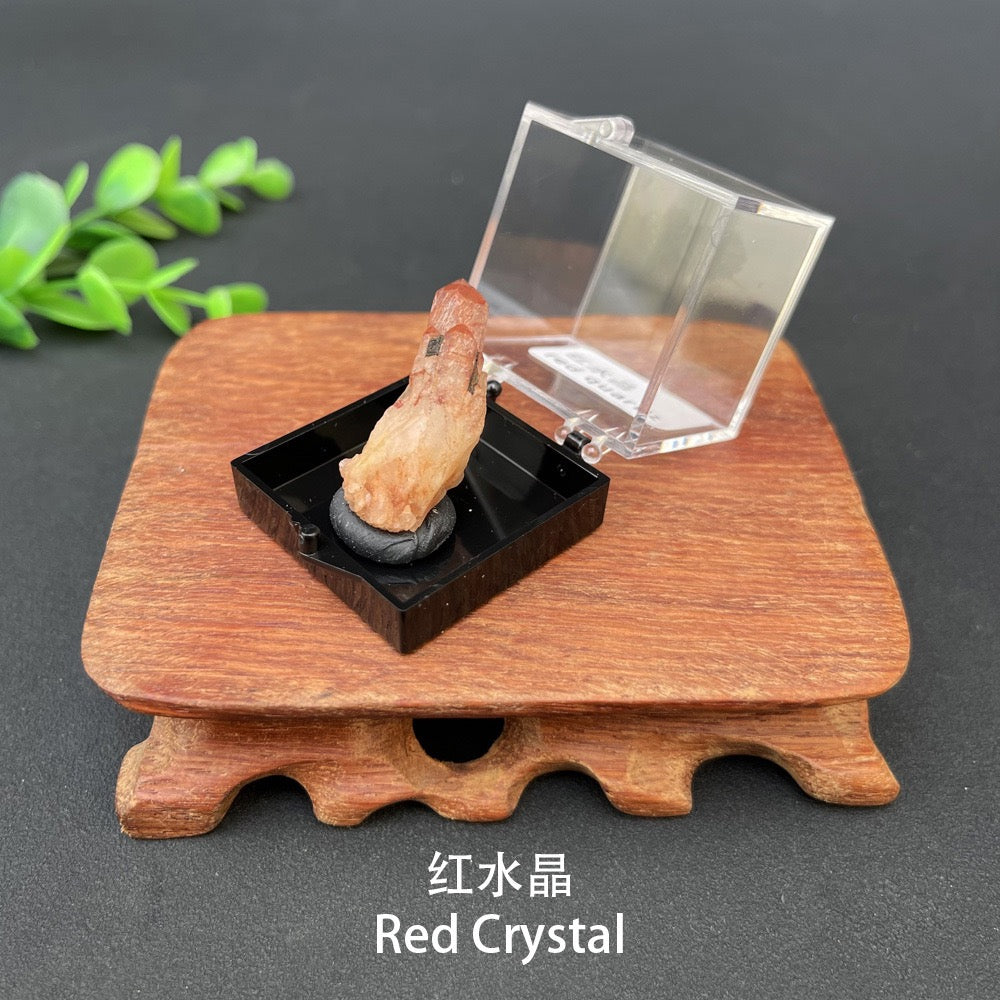Micro Mineral Box Raw Crystal Gemstone Collection Box