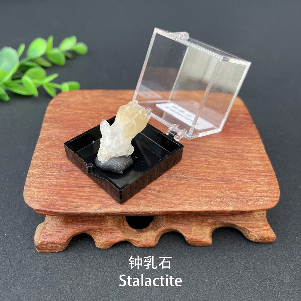 Micro Mineral Box Raw Crystal Gemstone Collection Box