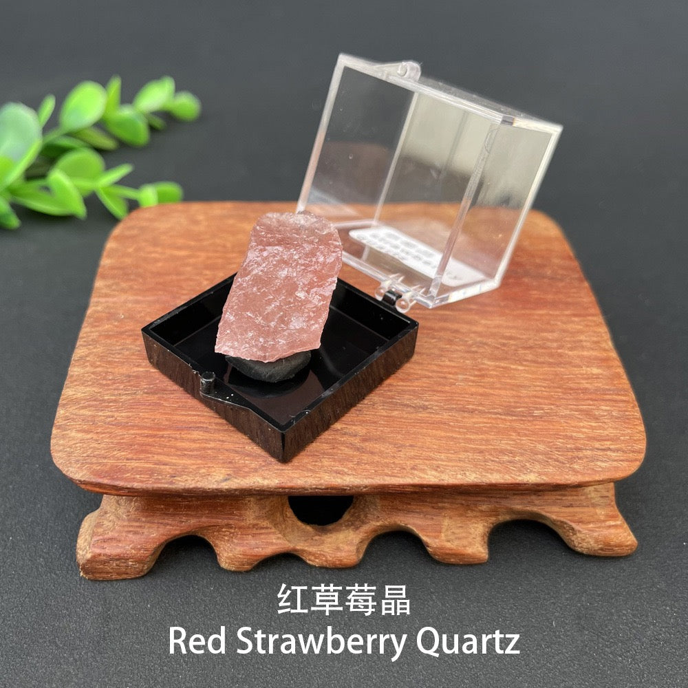 Micro Mineral Box Raw Crystal Gemstone Collection Box