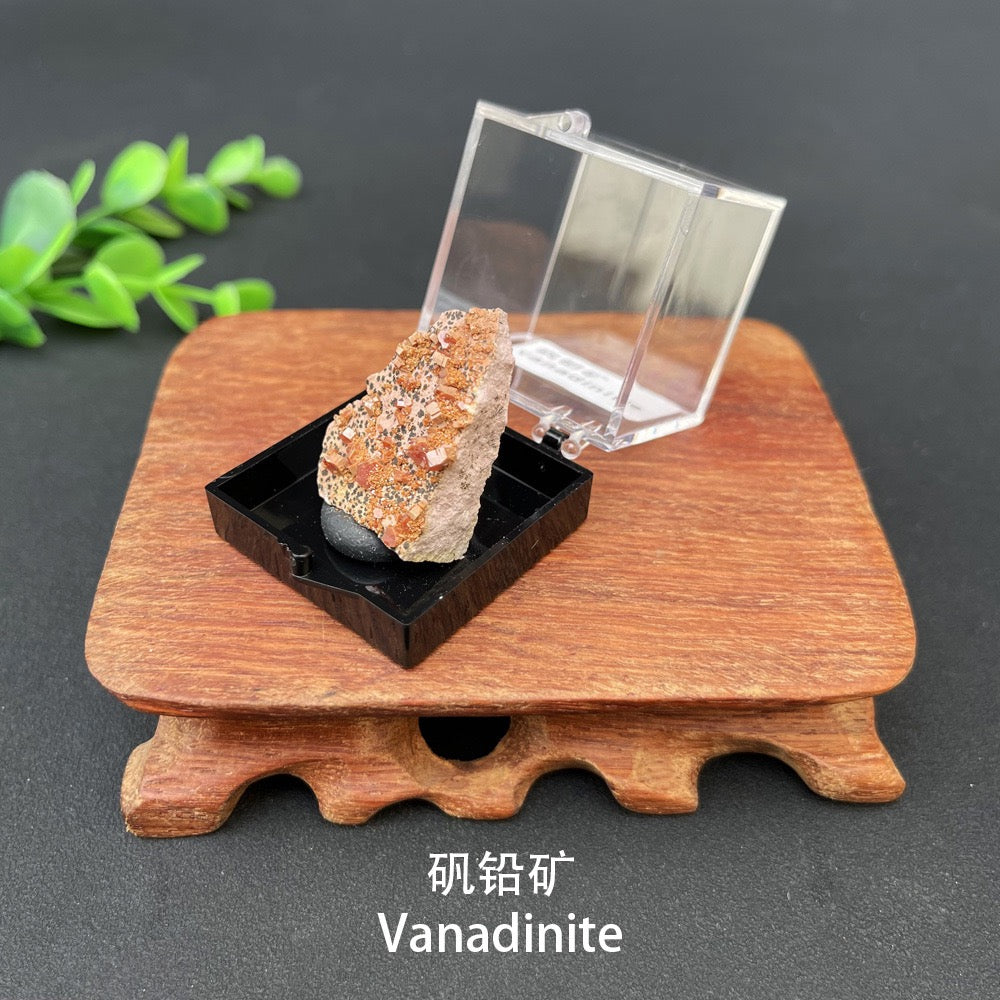 Micro Mineral Box Raw Crystal Gemstone Collection Box