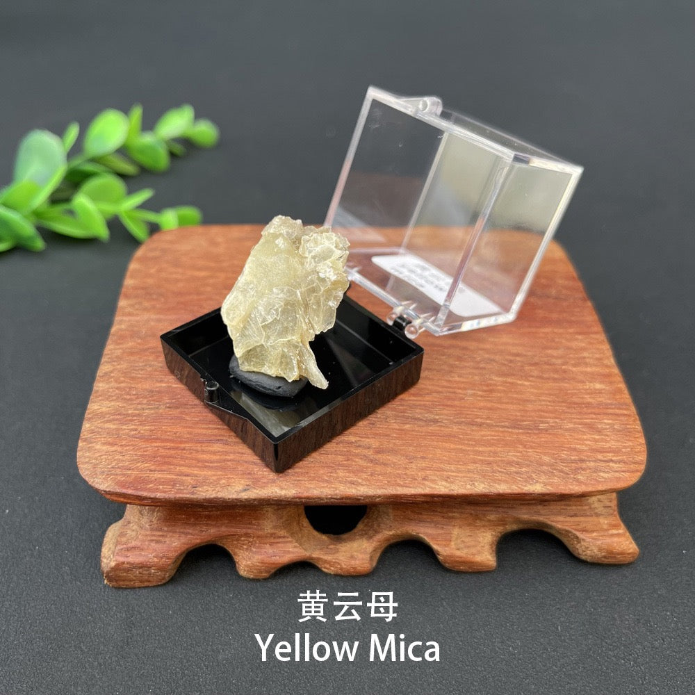 Micro Mineral Box Raw Crystal Gemstone Collection Box