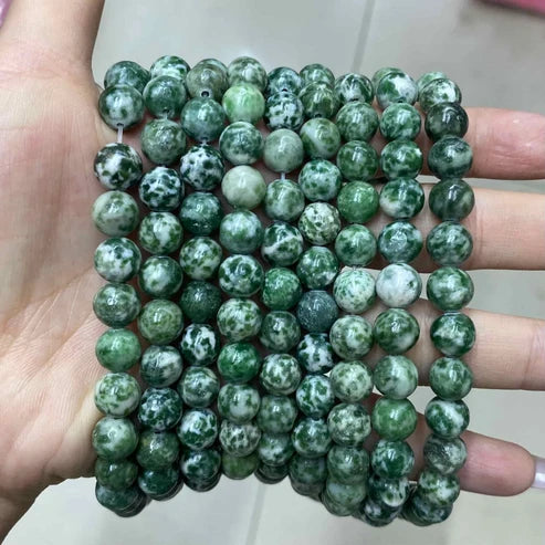 Green Dalmatian Jasper Round Smooth Beads 4mm 6mm 8mm 10mm