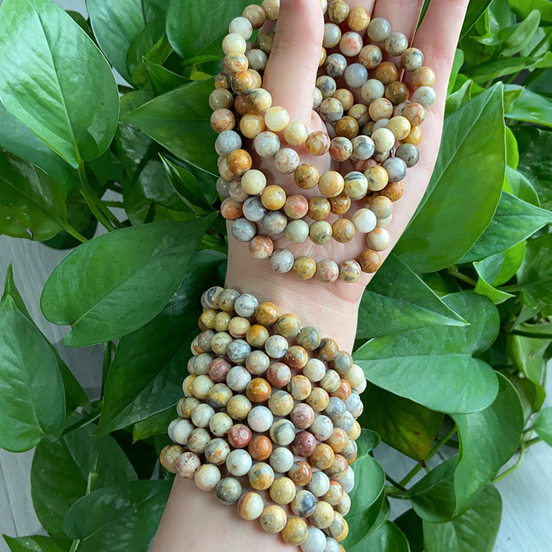 Crazy Lace Agate Bracelet $9.99/3PCS