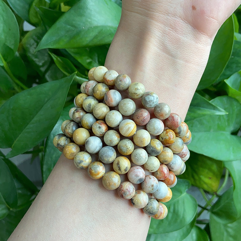 Crazy Lace Agate Bracelet $9.99/3PCS