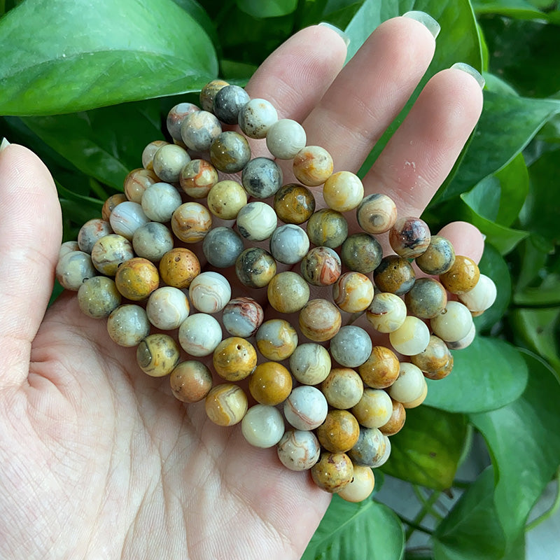 Crazy Lace Agate Bracelet $9.99/3PCS