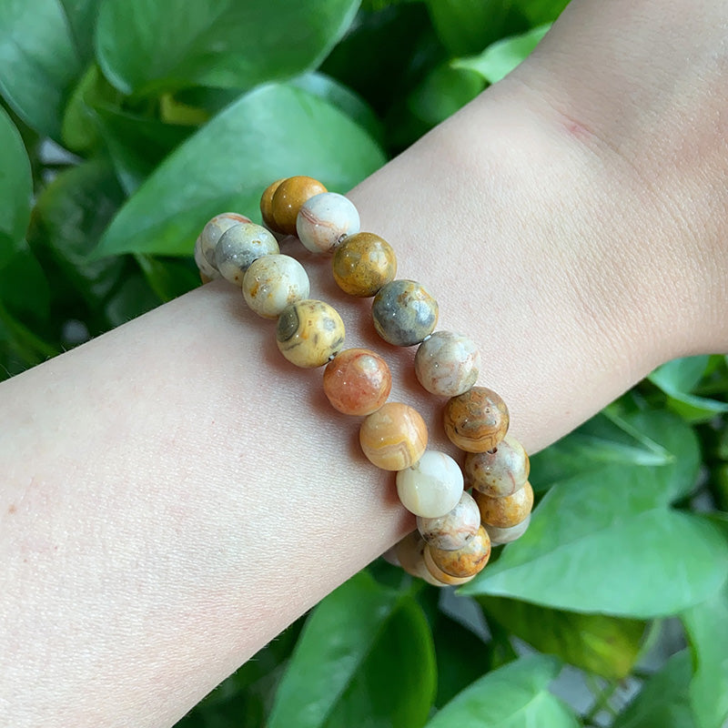 Crazy Lace Agate Bracelet $9.99/3PCS