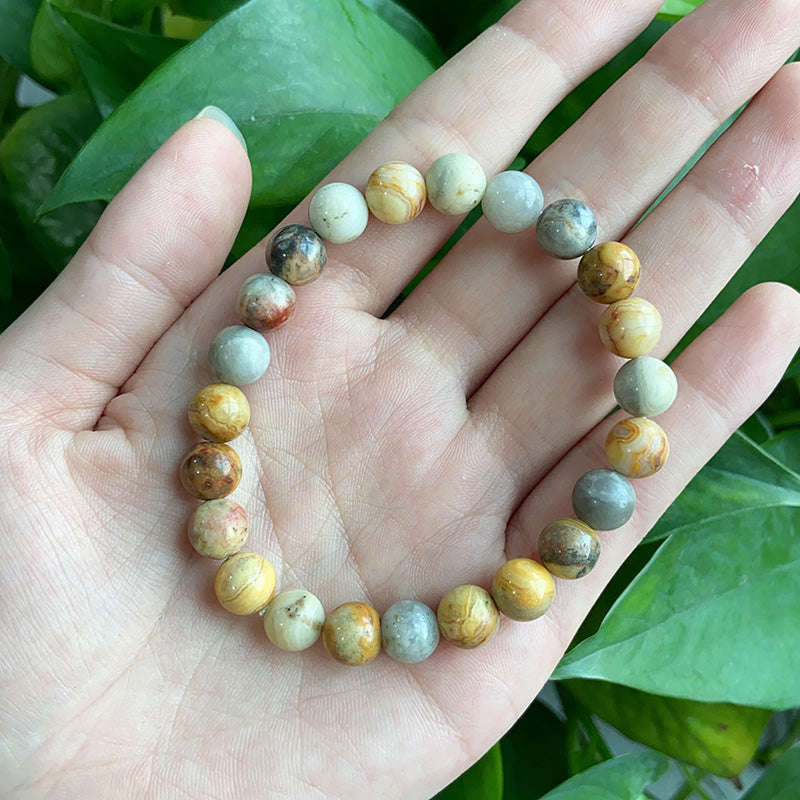 Crazy Lace Agate Bracelet $9.99/3PCS