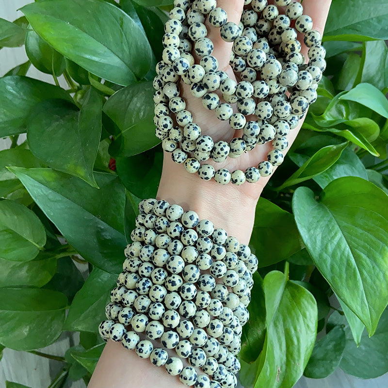 Spotted Bracelet $9.99/3PCS