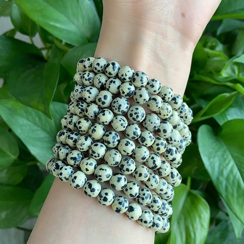 Spotted Bracelet $9.99/3PCS
