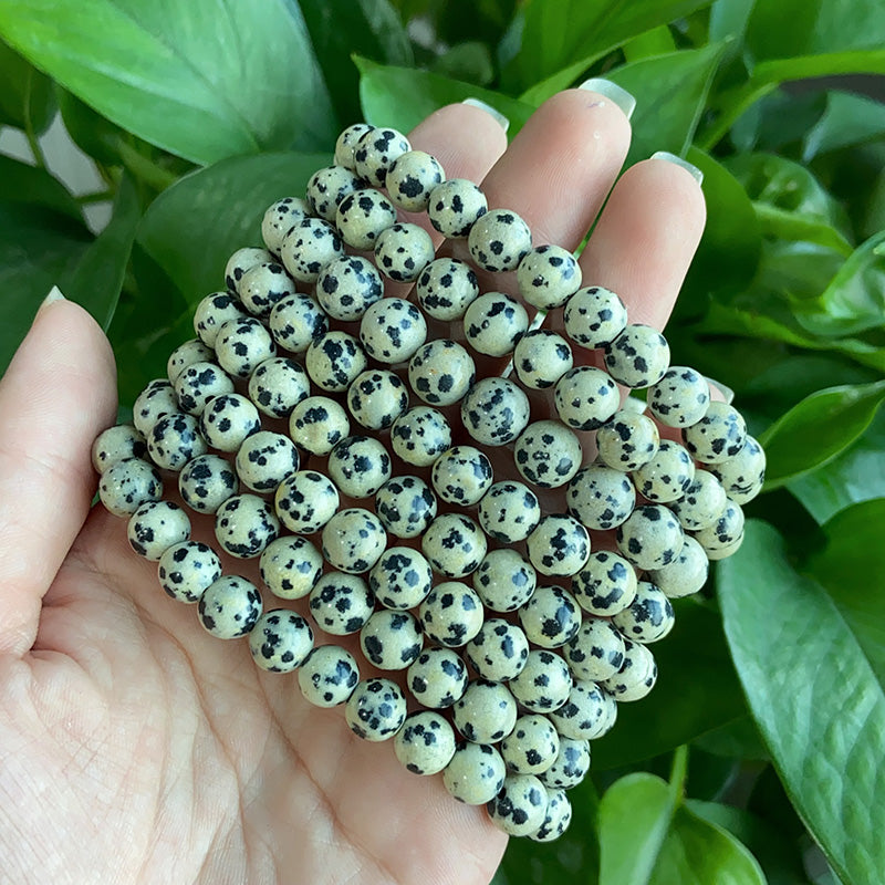 Spotted Bracelet $9.99/3PCS