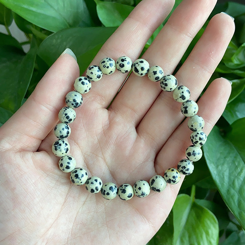 Spotted Bracelet $9.99/3PCS