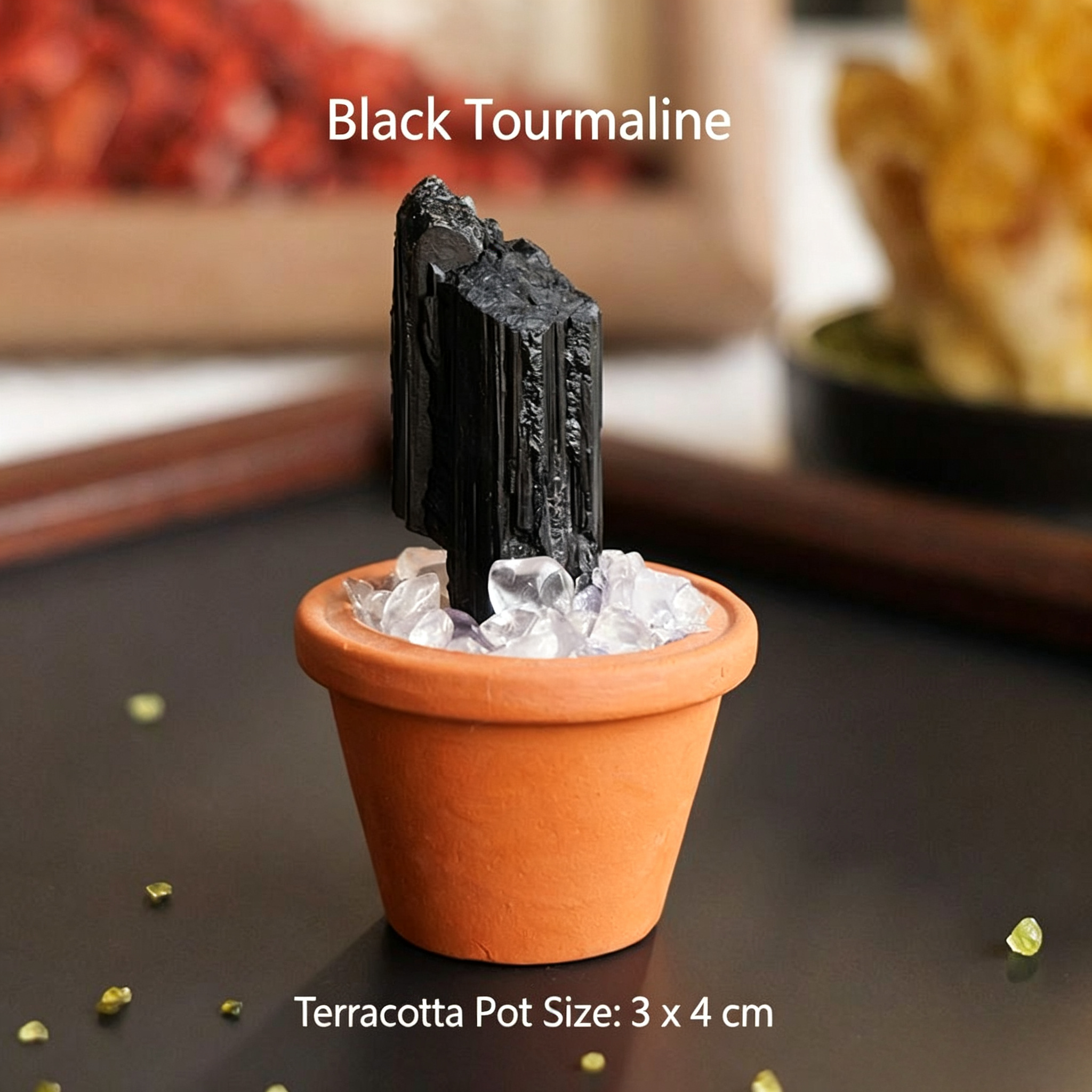 Micro Mineral Raw Crystal Gemstone Collection