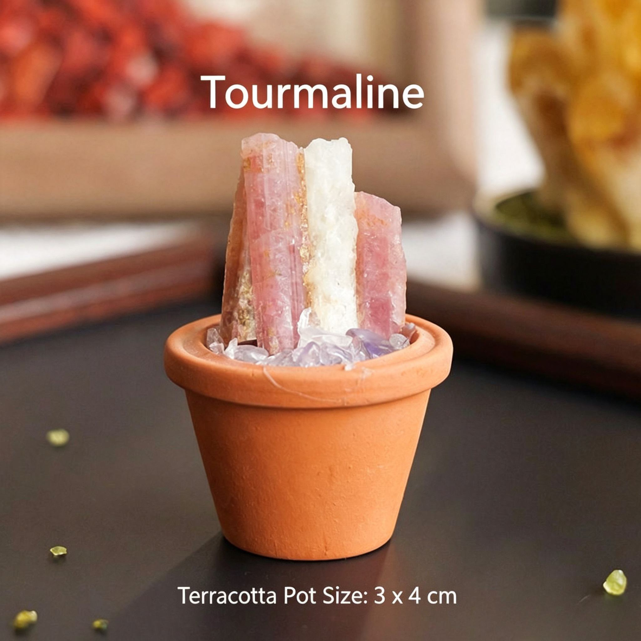 Micro Mineral Raw Crystal Gemstone Collection